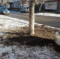 IMG-20211202-WA0002.jpg - Город Сердобск