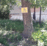 20220629_104101.jpg - Город Сердобск